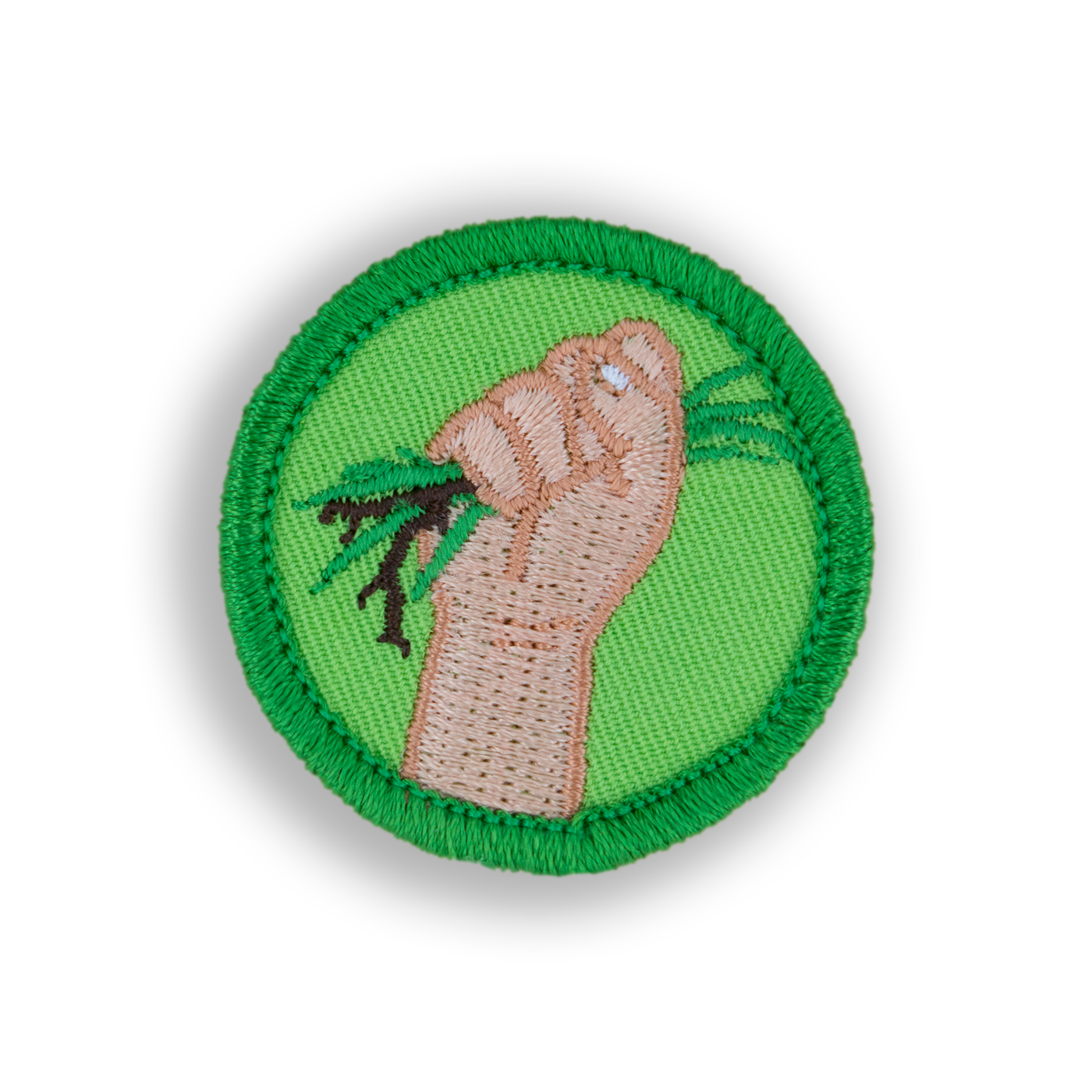 I Survived Patch | Demerit Wear - Fake Merit Badges